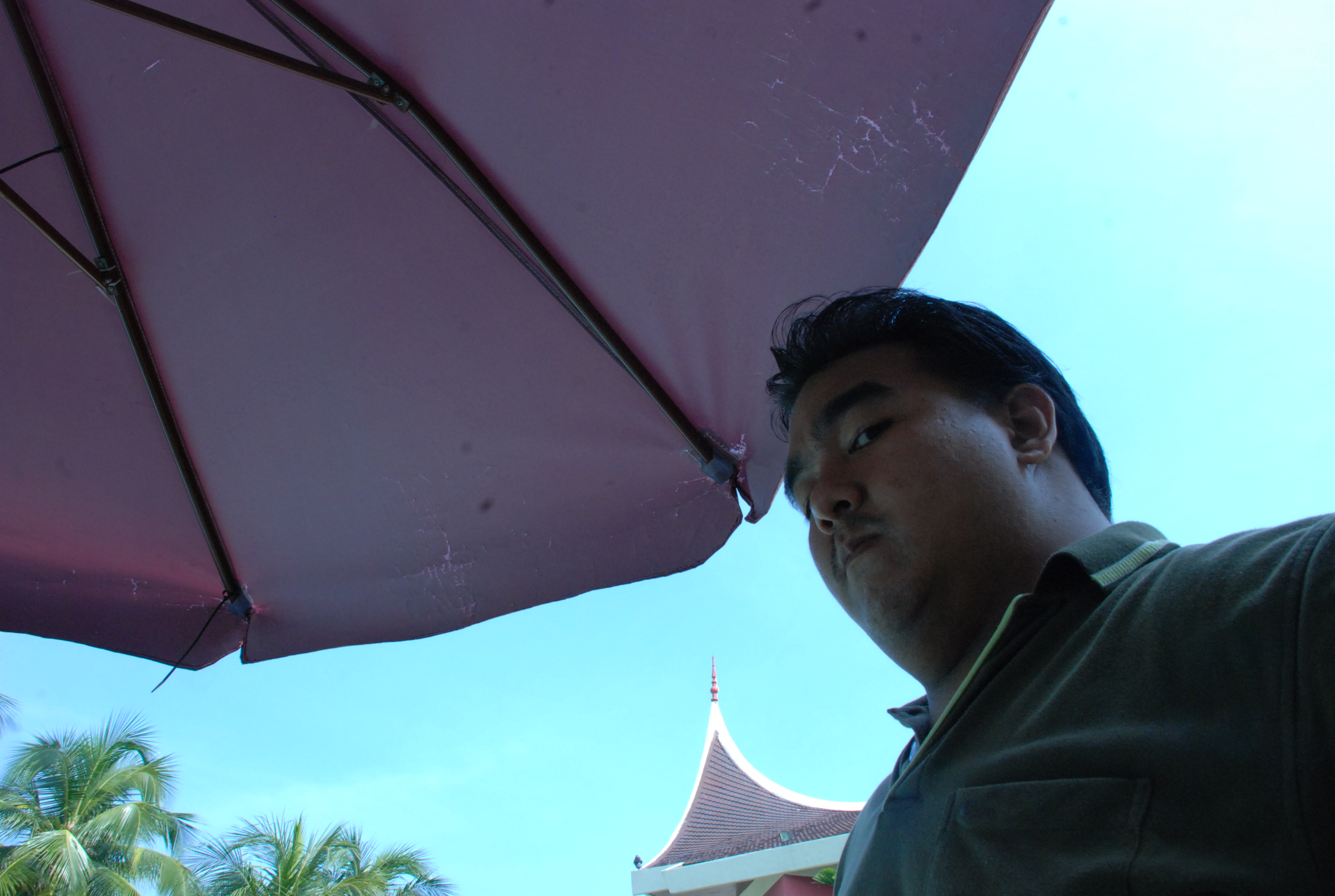 DSC 0527